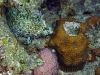 hurghada2013-51