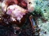 hurghada2013-59