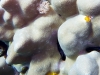 hurghada2013-67