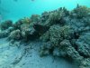 DCIM\100GOPRO\GOPR0915.JPG