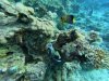DCIM\100GOPRO\GOPR0463.JPG