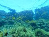 DCIM\100GOPRO\GOPR0346.JPG