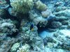 DCIM\100GOPRO\GOPR0552.JPG