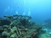 DCIM\100GOPRO\GOPR0384.JPG