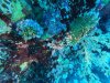 DCIM\100GOPRO\GOPR0553.JPG
