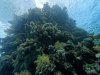 DCIM\100GOPRO\GOPR0557.JPG