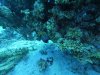 DCIM\100GOPRO\GOPR0650.JPG
