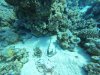 DCIM\100GOPRO\GOPR0390.JPG