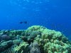DCIM\100GOPRO\GOPR0576.JPG