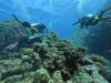 DCIM\100GOPRO\GOPR0409.JPG