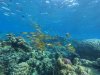 DCIM\100GOPRO\GOPR0583.JPG
