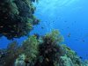 DCIM\100GOPRO\GOPR0504.JPG