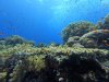 DCIM\100GOPRO\GOPR0522.JPG