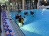 IMG_1208