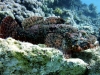 hurghada2013-45