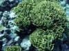 hurghada2013-52