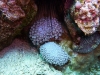 hurghada2013-53