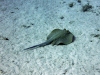 hurghada2013-60