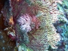 hurghada2013-61
