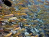 hurghada2013-72