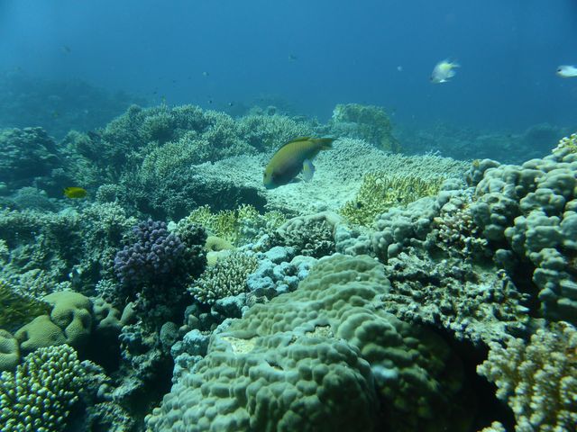 P1010840