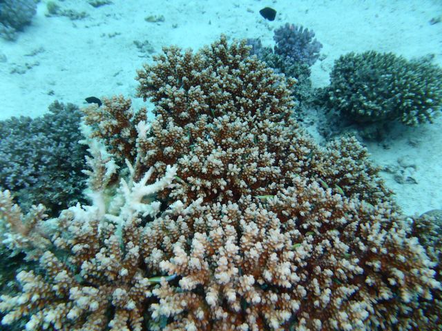 P1010850