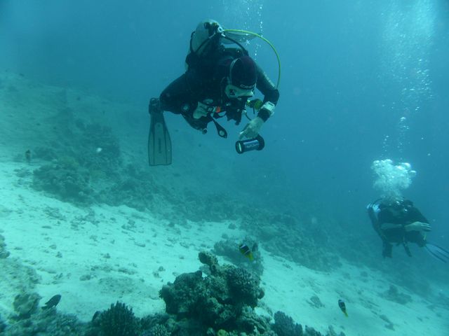 P1010867