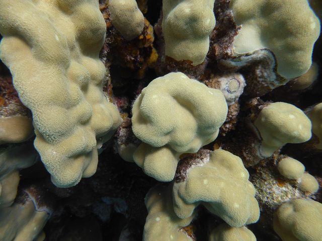 P1010918