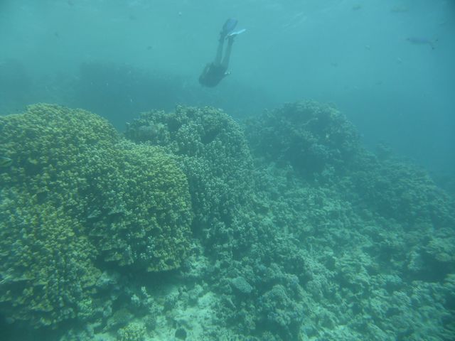 P1010936