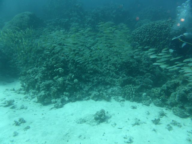 P1010960