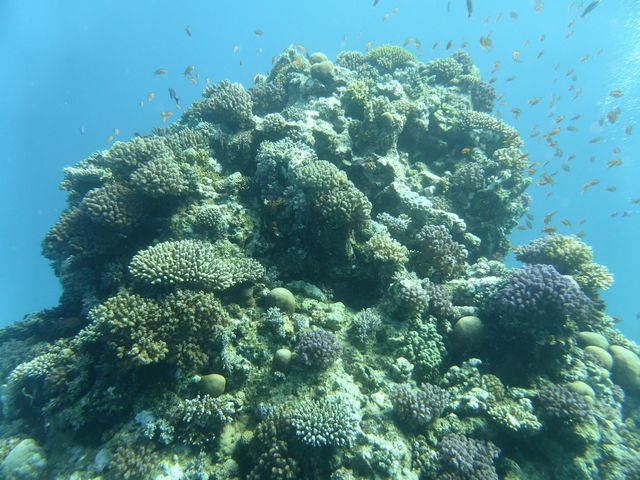 P1010978