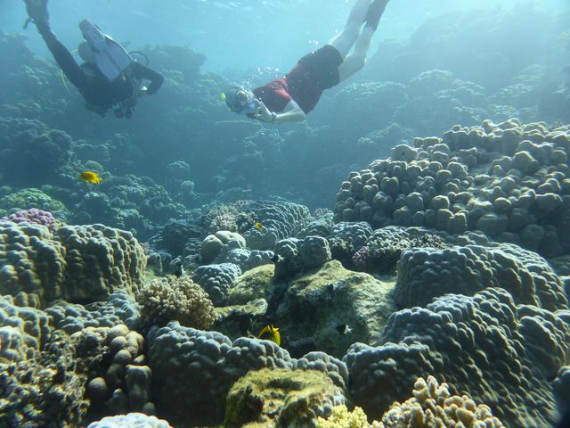 P1020022