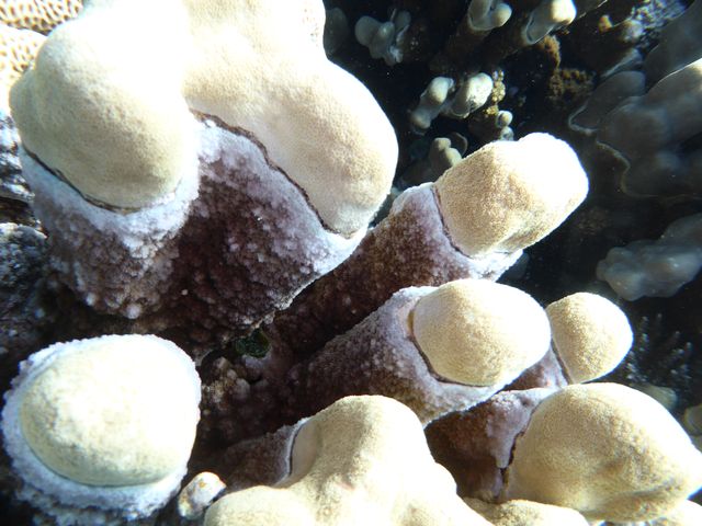 P1020032