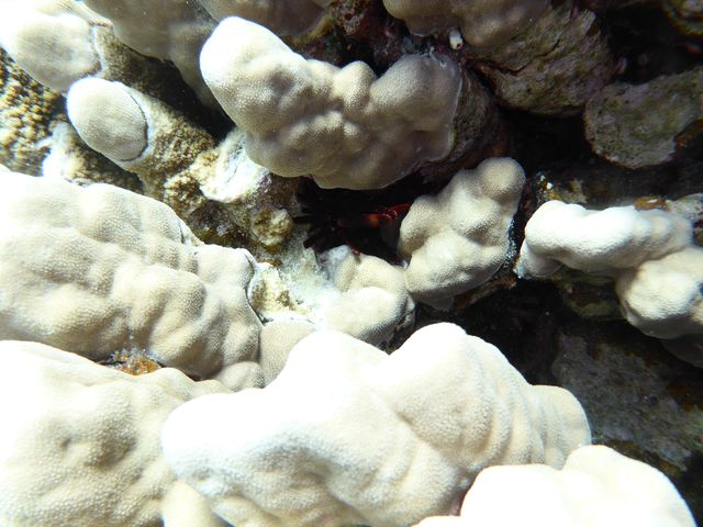 P1020047