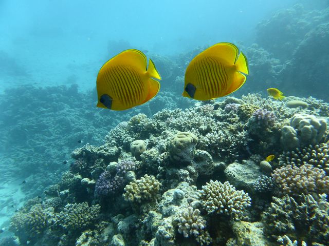 P1020063