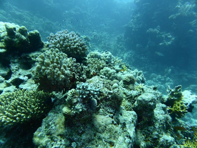P1020077