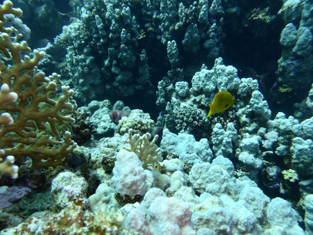 P1020085