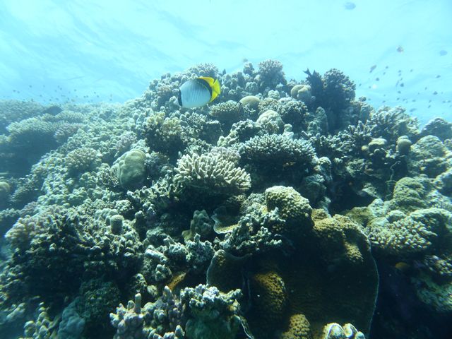 P1020101