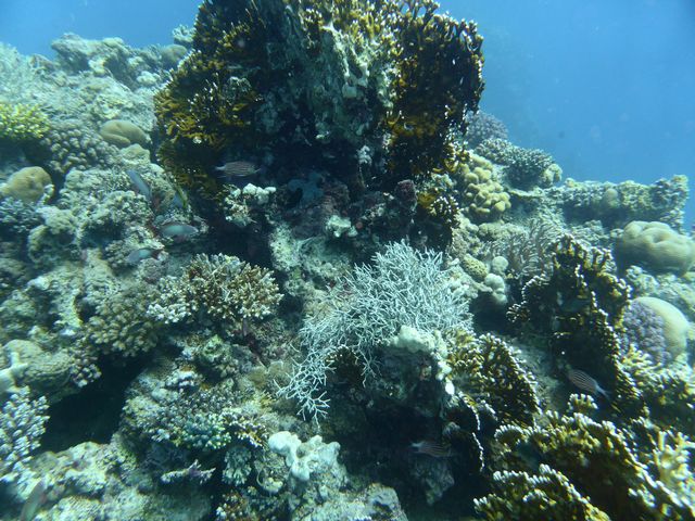 P1020129