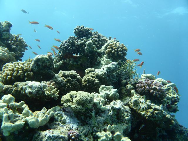 P1020136