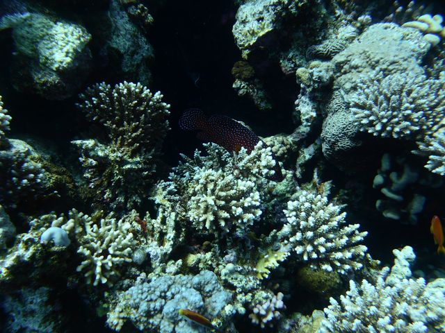 P1020259