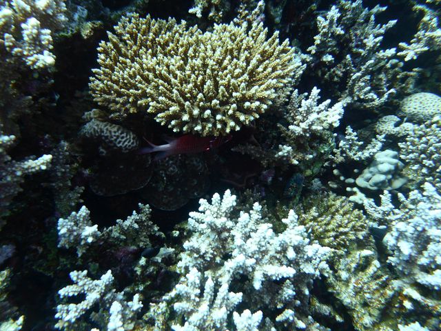 P1020267