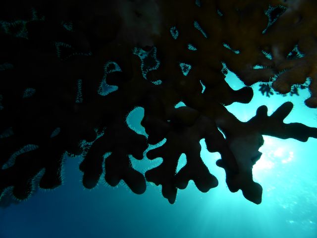 P1020293