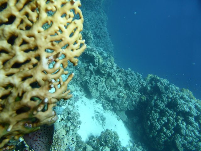 P1020294
