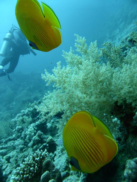 P1020319