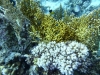 P1010833