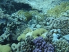 P1010841