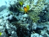 P1010846