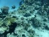 P1010871