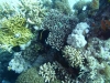 P1010882
